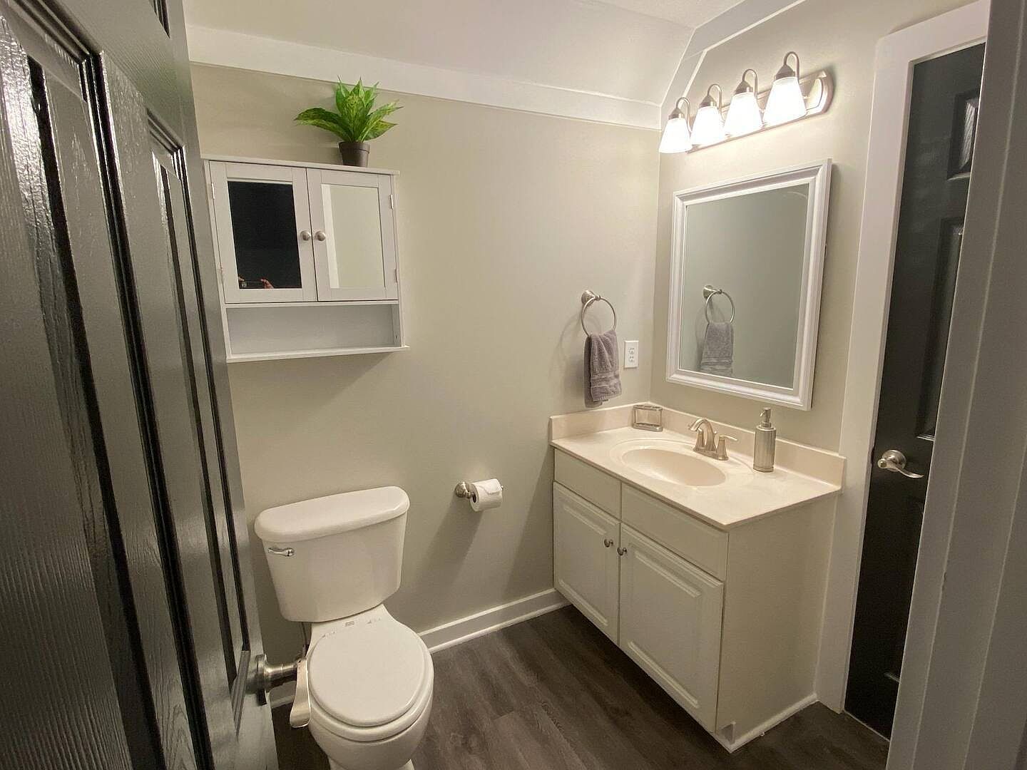 The second bathroom's vanity and mirror cabinet